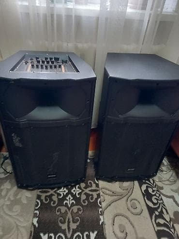 Пара профессиональных акустических систем с встроенным микшером -