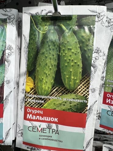 картофель семена: Уруктар жашылчалардын: Сабиз, Бадыраңдар, Капуста, Өзү алып кетүү, Акылуу жеткирүү — 7