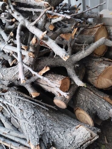 бишкек отун: Отун Өзү алып кетүү — 2