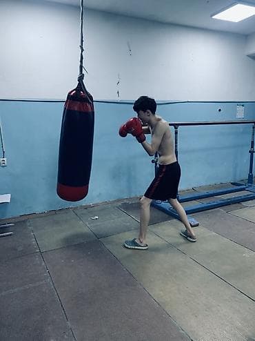 боксерские грушы: Боксёрская груша подвесная - Классическая цилиндрическая форма - — 1