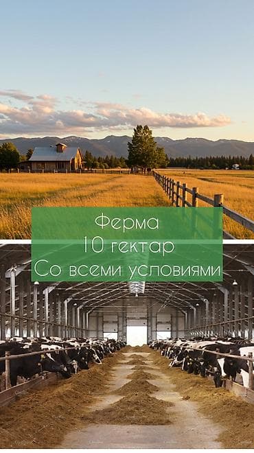 гараж темир: Ферма КРС, 1000 соток, Действующий, С оборудованием, Электричество, Отопление, Скважина — 1