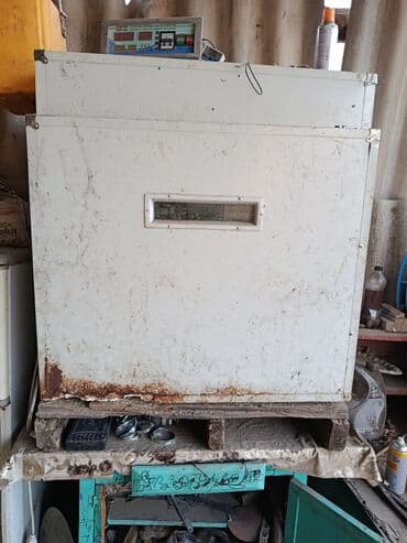 Оборудование для производства: Инкубатор промышленного типа + бензиновый генератор Описание — 4