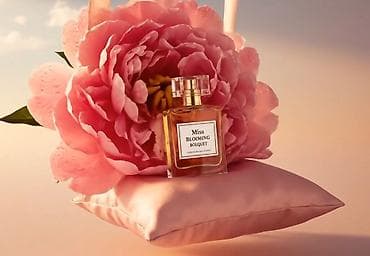 работа программиста: Графический дизайнер — 7