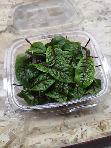 кав: Свежая микрозелень и съедобные цветы HydroGreen Ассортимент: - — 6