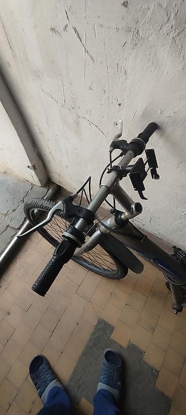 рич: Велосипед зынк только айдаш керек бардык жери иштейт тушуб беремин — 2