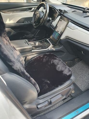 ош машине: Weltmeister EX5, 2020 г., 60000 км, Алдыңкы, Бар — 7