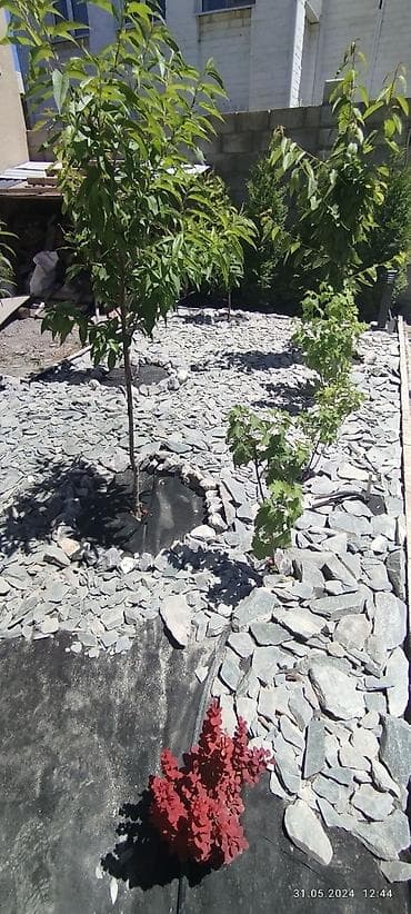 headhunter kg: Профессиональное озеленение и устройство декоративных садов Что — 3