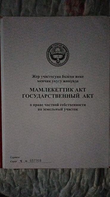 пш метр: 7 соток, Курулуш — 2