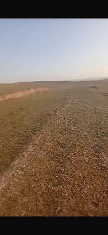 рыскулова молодая гвардия: 6 соток, Для строительства, Красная книга, Договор купли-продажи — 4