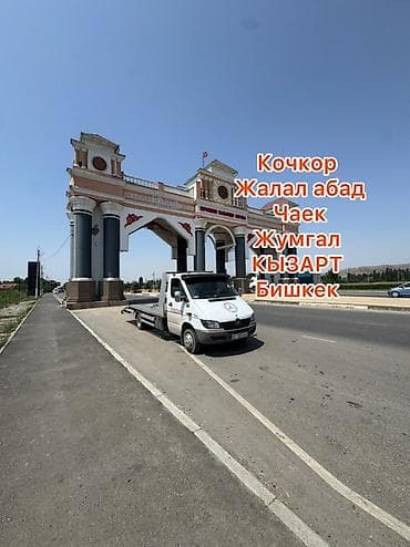 С лебедкой