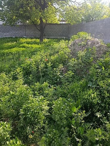 кызыл кыштак: 6 соток, Курулуш — 6