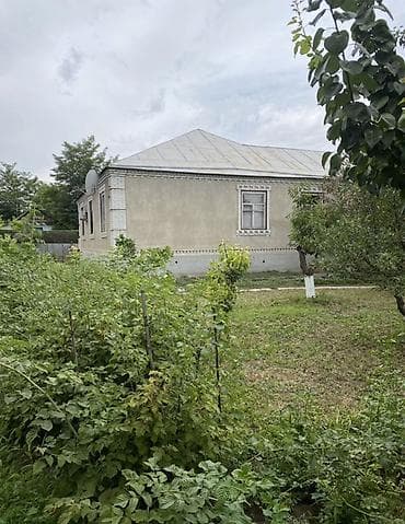 open space: 22 соток, Для сельского хозяйства, Тех паспорт, Договор купли-продажи, Красная книга — 1