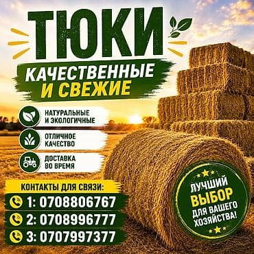 живые рыбы бишкек: Тюки сена/соломы — качественные и свежие. - Натуральные и экологичные — 1