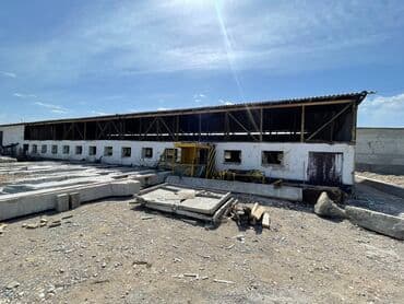 стол маммут: Автокран — 9