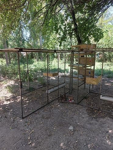 Все для дома и сада: Защитные сетки от птиц — 2