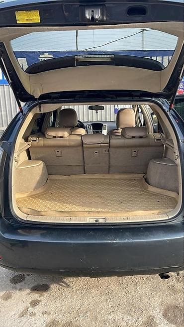 портер рядом: Lexus RX: 2006 г., 3.3 л, Автомат, Гибрид, Кроссовер — 2