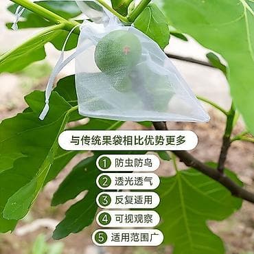 Каптар: Кап — 4