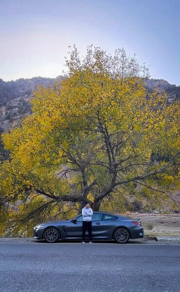 хонда одиссей 2002 абсолют бишкек: Вариантка машина алам! Айына 30 минден болуп тологону. Эгерде жакшы — 1