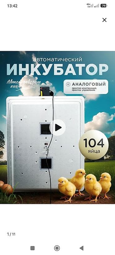 Продаю инкубатор Несушка производство Россия работает отлично б/у. (