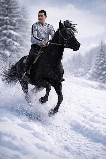 где можно купить пони: Продаю | Конь (самец) | Конный спорт — 3