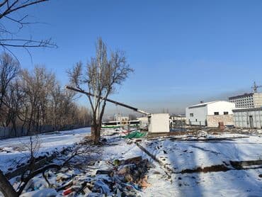 временная: Кран | Стрела 60 м 50 т | Борт 25000 кг — 4