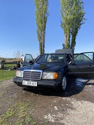Mercedes-Benz W124: 1990 г., 2 л, Кол менен иштөөчү, Газ, Седан — 1
