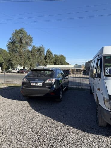 каракол машины: Lexus RX: 2009 г., 3.5 л, Автомат, Бензин, Кроссовер — 7