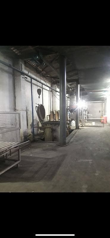 Оборудование для производства: Продается линия для производства консервных банок гороха и кукурузы — 2