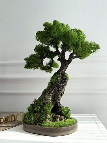 искусственные пальмы: Миниатюрные ДЕРЕВЬЯ Бонсай из стабилизированного мха — это стильная — 2