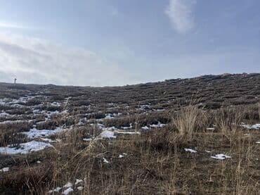 продажа автомойки: 8 соток, Для строительства, Красная книга — 7