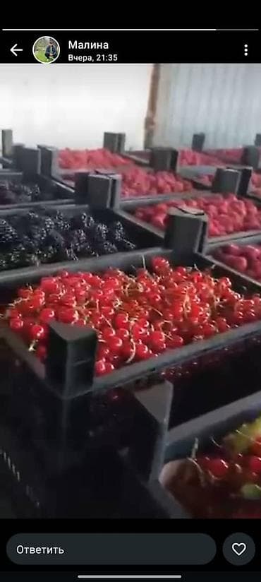 Дом и сад: Пластиковый Ящик — 10