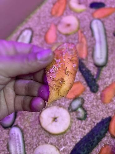 для животных: Живые личинки мучного червя (Tenebrio molitor) — питательный корм для — 1