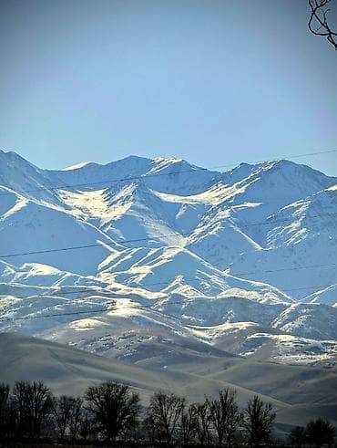 ddr4 ecc: Google Pixel 7 Pro, Колдонулган, 128 ГБ, түсү - Кара, eSIM, 2 SIM — 8