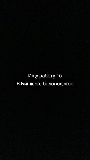 high experience: Услуга: ищу работу (16 лет) Регион: Бишкек — Беловодское Ищу — 1