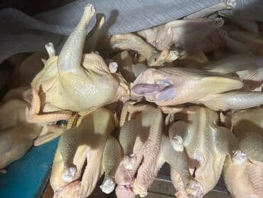 меняю на кур: Курица  — 1