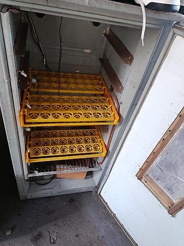 Өндүрүш үчүн жабдуулар: Инкубатор с автоматическим управлением - Электронный блок «Automatic — 2