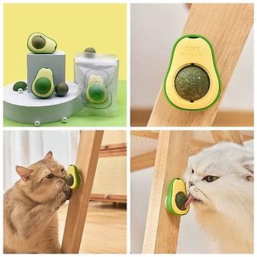 ат жабы: ПРОДАЮ КОШАЧЬЮ МЯТУ(АНТИСТРЕСС),ПОРАДУЙТЕ СВОГО КОТИКА ТАКОЙ — 1