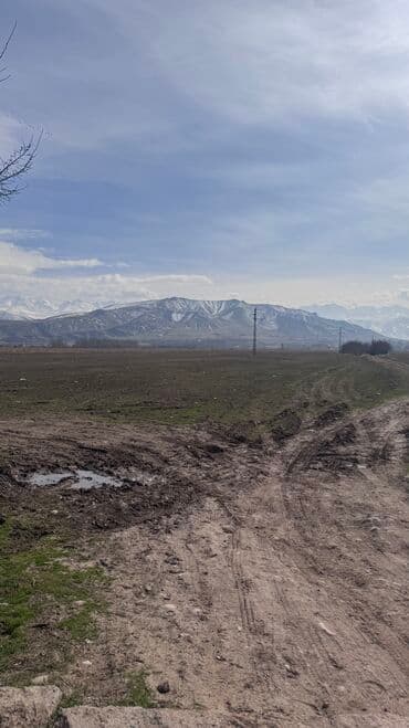 ишу земельный дом кок жар: 385 соток, Для сельского хозяйства, Договор дарения — 6