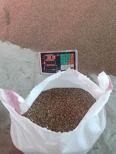 Семена кормовых растений: Эспарцет, Самовывоз