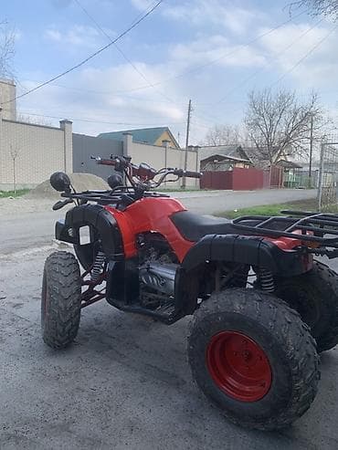 Квадроциклы: Квадроцикл Yamaha, Бензин, 200 куб. см, Взрослый — 3