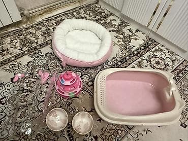 Набор для котёнка/кошки (розовая серия): НОВОЕ🩷 - Лежанка круглой at lalafo.kg Набор для котёнка/кошки (розовая серия): НОВОЕ🩷 - Лежанка круглой