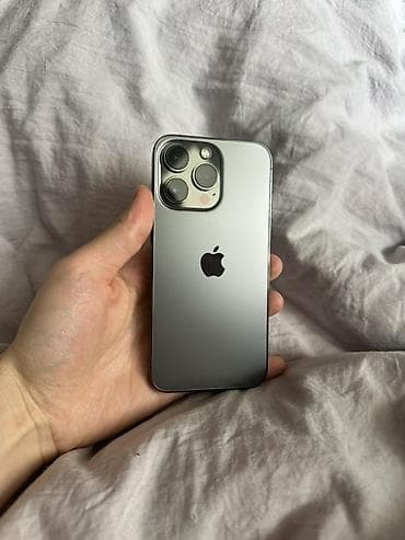 Apple iPhone: IPhone 13 Pro, Б/у, 256 ГБ, Графит, Защитное стекло, Чехол, 80 % — 1