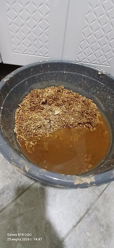 switch lite: Чистка Аристонов от накипи, производим замена тена,замена анота Чистка — 4