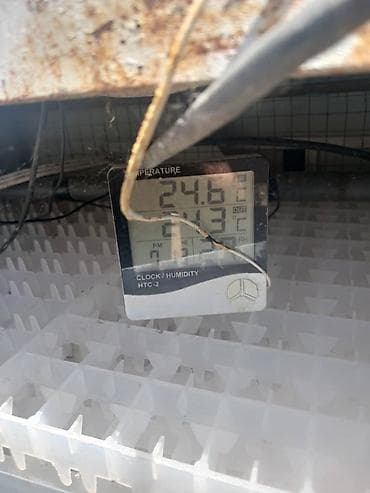 Өндүрүш үчүн жабдуулар: Инкубатор сатылат рабочий — 5