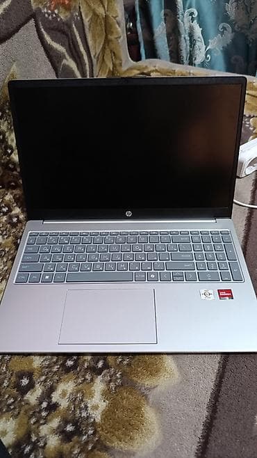 Ноутбук HP 15 (серия с логотипом HP на крышке, серебристый корпус)