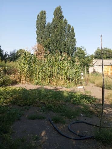 продаю дом бишкек квартира: Үй, 150 кв. м, 4 бөлмө, Менчик ээси, Эски ремонт — 1