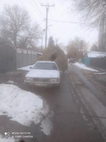 Audi 100: 1986 г., 2.5 л, Механика, Дизель, Седан