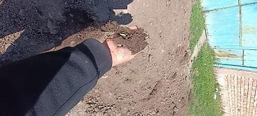 купить футбольный газон: 📢 ОБЪЯВЛЕНИЕ: 🌱 Чернозем сатылат! Кара топурак эң сапаттуу! Бакча — 5