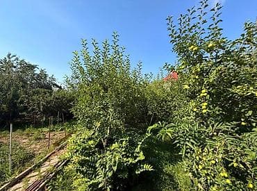 чарык таш: 5 соток, Курулуш, Кызыл китеп, Техпаспорт — 7