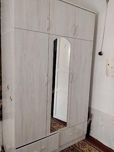 выдвижной: Шифоньер, шкаф для одежды, Б/у, Прямой, ЛДСП — 1